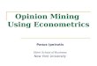 Opinion Mining  Using Econometrics