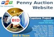 Penny Auction Website