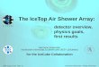 The  IceTop  Air  Shower  Array: