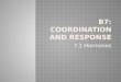 B7: Coordination and Response