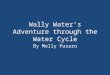 Wally Water’s Adventure through the Water Cycle