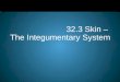 32.3 Skin –  The  Integumentary  System