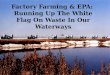 Factory Farming & EPA:  Running  Up The White Flag On Waste In Our Waterways