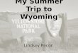 My Summer Trip to Wyoming