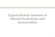Lignocellulosic biomass to ethanol-hydrolysis and fermentation