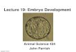 Lecture 19: Embryo Development