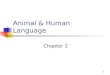 Animal & Human Language