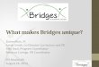 What makes Bridges  unique ?