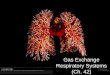 Gas Exchange Respiratory  Systems (Ch. 42)