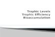 Trophic Levels Trophic Efficiency Bioaccumulation