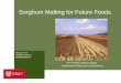 Sorghum Malting for Future Foods