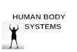 HUMAN BODY   SYSTEMS