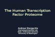 The Human  Transcription Factor  Proteome