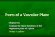Parts of  a  Vascular Plant