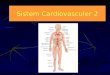 Sistem Cardiovasculer 2