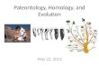 Paleontology, Homology, and Evolution