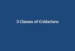 3 Classes of Cnidarians