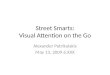 Street Smarts: Visual Attention on the Go