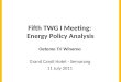 Fifth  TWG I Meeting :  Energy Policy Analysis