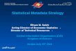 Statistical Metadata Strategy