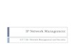 IP Network Management