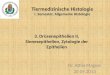 Tiermedizinische Histologie I.  Semester , Allgemeine  Histologie