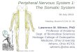 Peripheral Nervous System 1: The Somatic System