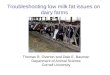 Troubleshooting low milk fat issues on  dairy farms