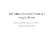 Metabolisme intermedier : Katabolisme