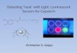 Detecting ‘Heat’ with Light: Luminescent Sensors for Capsaicin