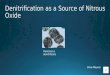 Denitrification  as a Source of Nitrous Oxide