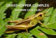 GRASSHOPPER COMPLEX