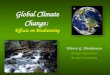 Global Climate Change:  Effects on Biodiversity