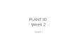 PLANT ID  Week  2