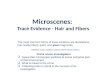 Microscenes :  Trace Evidence - Hair and Fibers