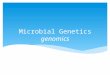 Microbial Genetics genomics