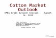 Cotton Market Outlook