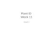 Plant ID  Week 11