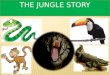 THE JUNGLE STORY