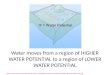 Water moves from a region of HIGHER WATER POTENTIAL to a region of LOWER WATER POTENTIAL