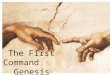 The First Command   Genesis 2:16-17