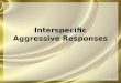 Interspecific  Aggressive Responses