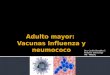 Adulto mayor:  Vacunas Influenza y neumococo