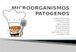 MICROORGANISMOS PATOGENOS