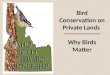 Bird Conservation on Private Lands  Why Birds Matter