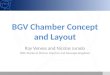 BGV Chamber Concept and Layout