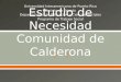 Estudio de  Necesidad Comunidad  de  Calderona