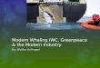 Modern Whaling IWC, Greenpeace & the Modern Industry