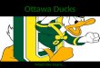 Ottawa Ducks