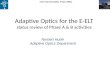Adaptive Optics for the E-ELT status review of Phase A & B activities